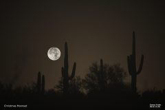 Astronomy_CatiSilhouettes_20151225_9926-9532