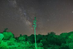 Astronomy_MilkyWay-FremontSaddle_20180519_8551-8553