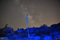 Astronomy_MilkyWay-FremontSaddle_20180519_8576