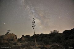 Astronomy_MilkyWay-FremontSaddle_20180519_8578