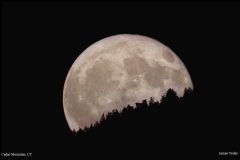 Astronomy_Moonrise-CedarMnt