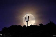 Astronomy_Moonrise-SpurCross_20200507_2082-2084