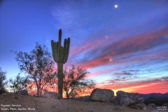 Astronomy_Sunrise-Saguaro_20151010