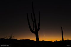 Astronomy_Comet_Tsuchinshaw-Atlas_20241012_3443