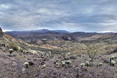 Scenic_AZ_2881ConsensusLoop_20210216_7239-7289