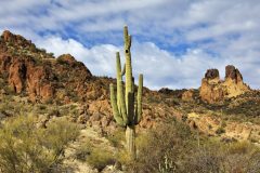 Scenic_AZ_2881ConsensusLoop_20210216_7527-7529