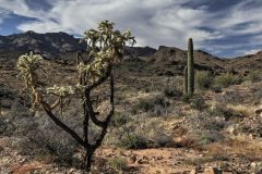 Scenic_AZ_BlackMesaLoop_20221107_0166-0168