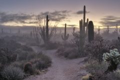 Scenic_AZ_Browns-Ranch-Crazy-Trail_20221213_1555-1557