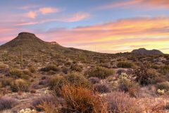 Scenic_AZ_BrownsRanchTRLoop_20240117_2473-2475_16x9