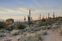 Scenic_AZ_BrownsRanchTRLoop_20240117_2500-2502_16x9
