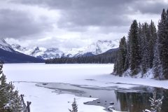 Scenic_CA_20250110_5154-5156_16x9
