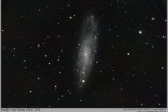 Astronomy_NGC-247