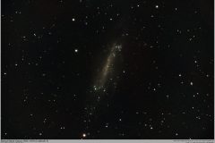 Astronomy_NGC-4236_2023-04