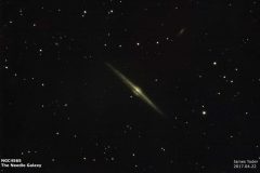 Astronomy_NGC-4565_20170422