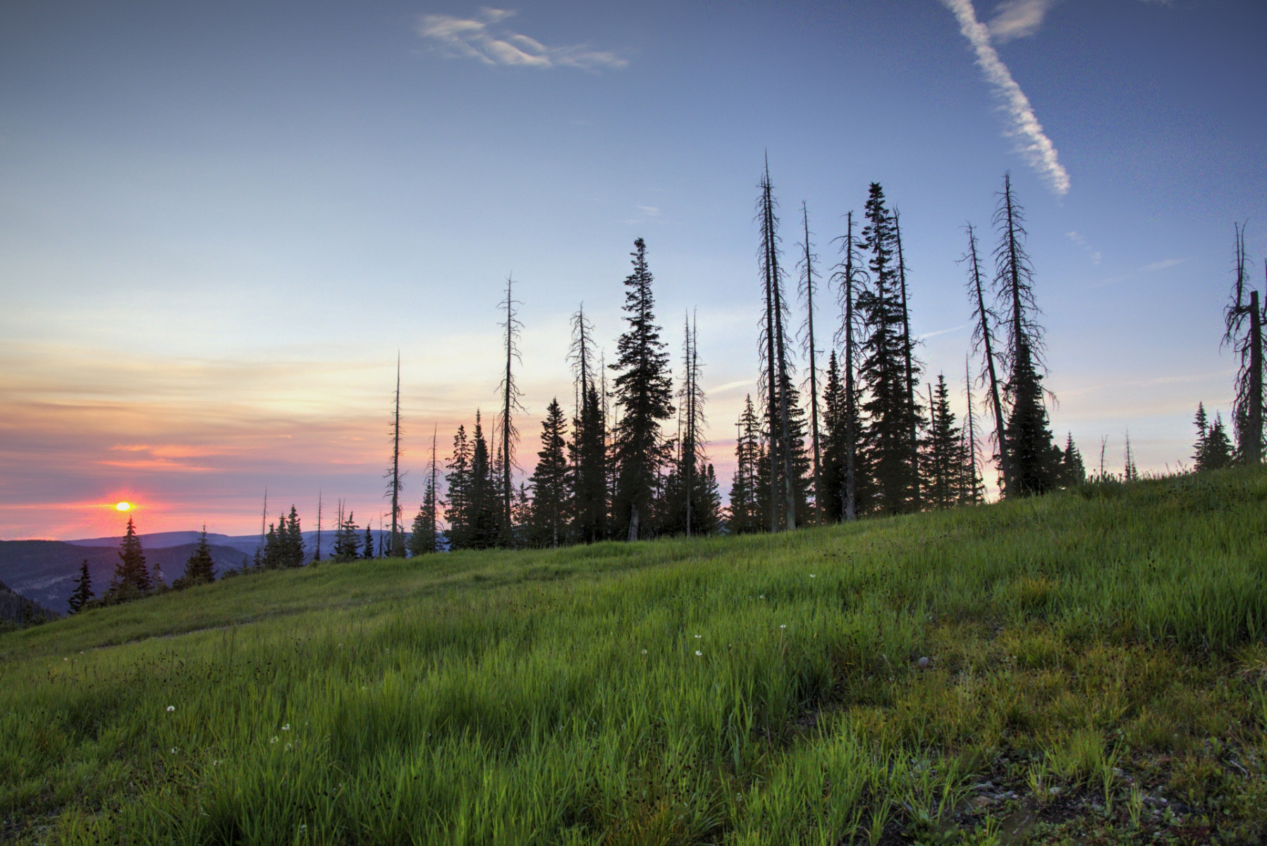Scenic_CO_AlbertaPeak_20240802_5717-5719