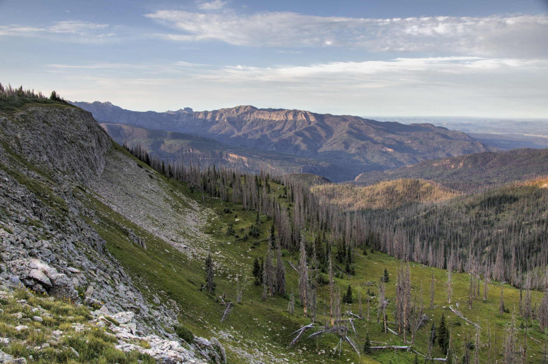 Scenic_CO_AlbertaPeak_20240802_5867-5869