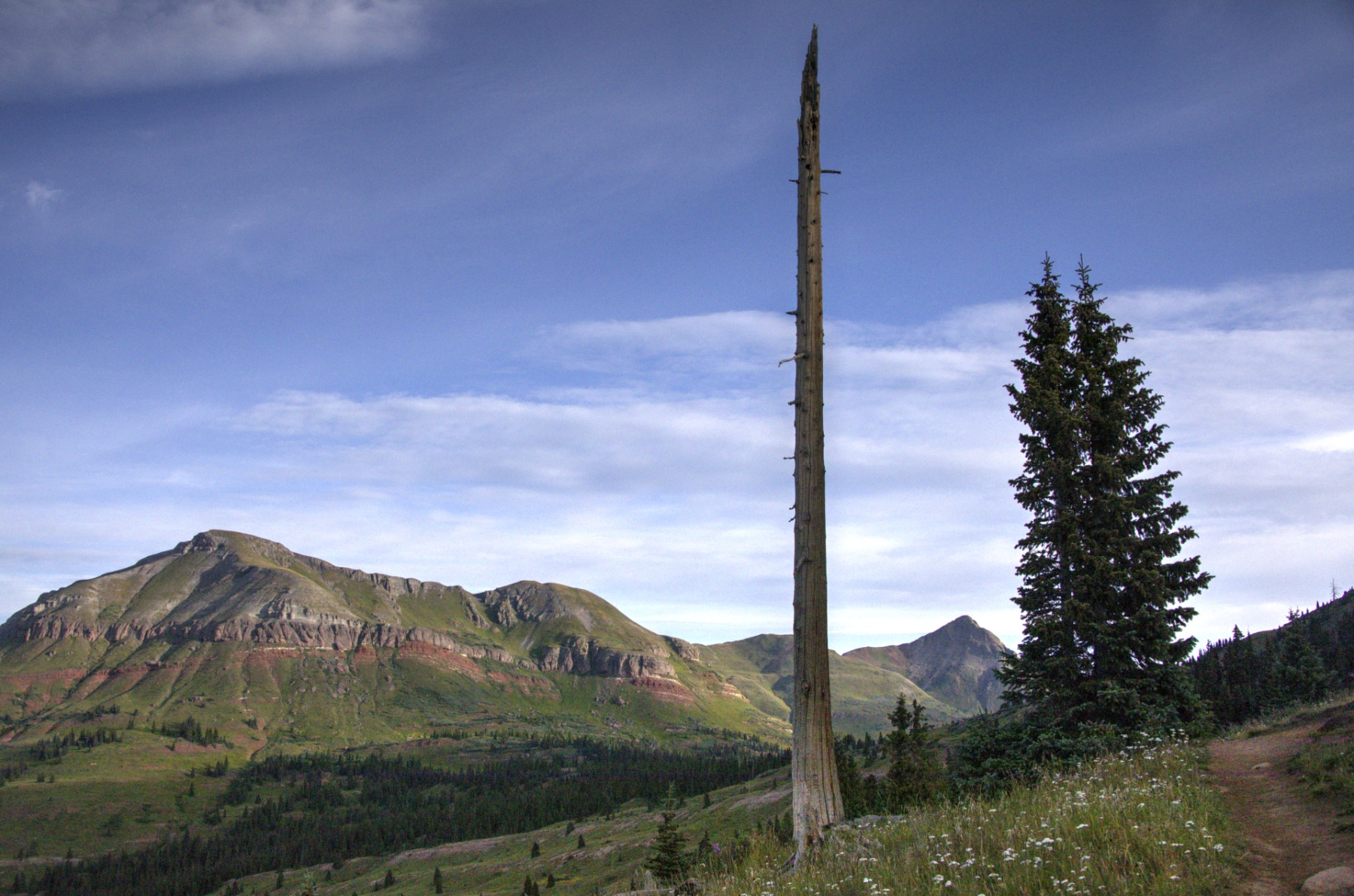 Scenic_CO_Colorado-Trail-Seg25-1_20240808_6908-6910