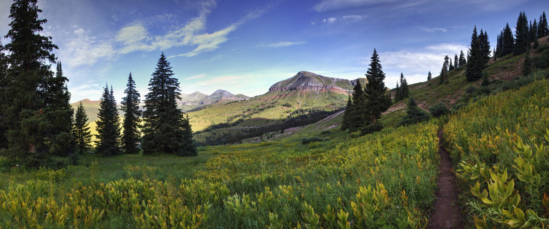 Scenic_CO_Colorado-Trail-Seg25-1_20240808_6980-7018