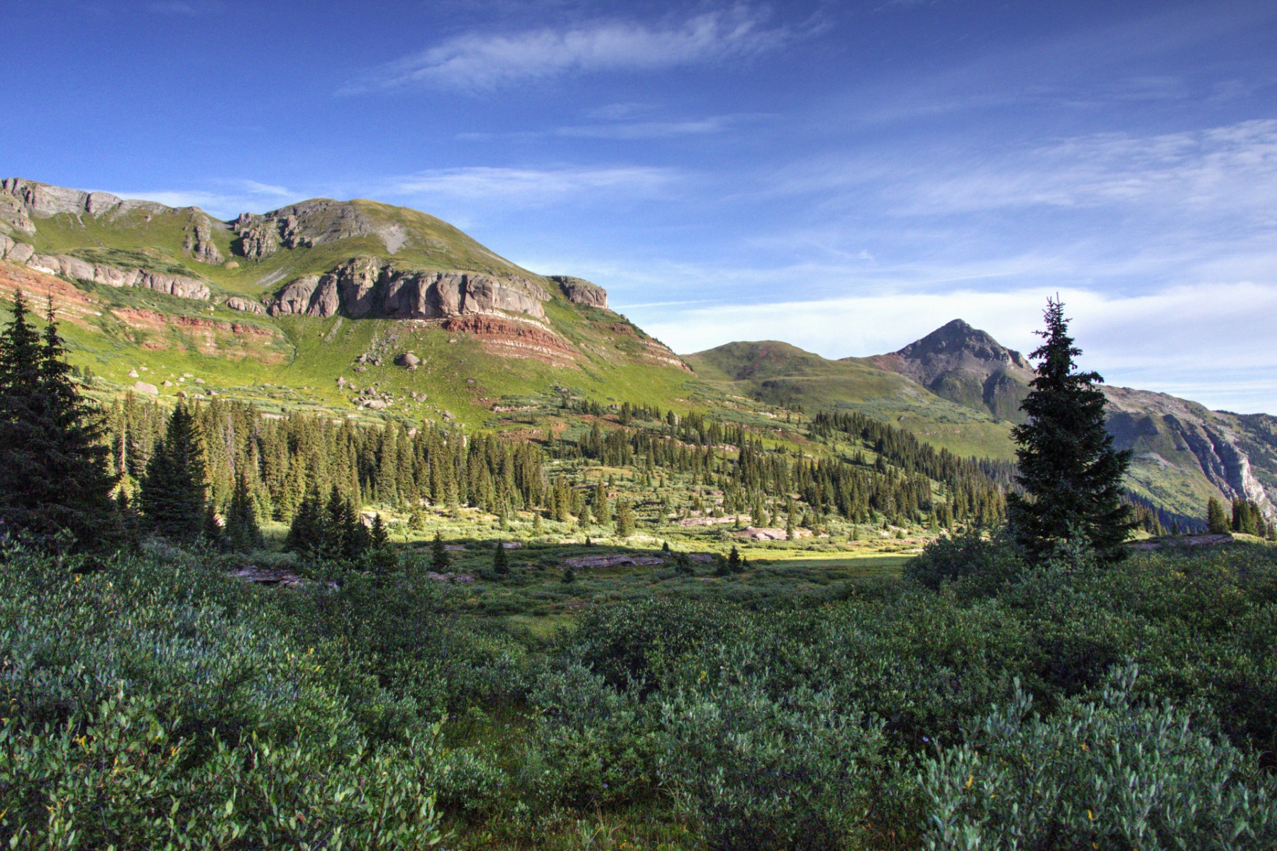 Scenic_CO_Colorado-Trail-Seg25-1_20240808_7220-7222