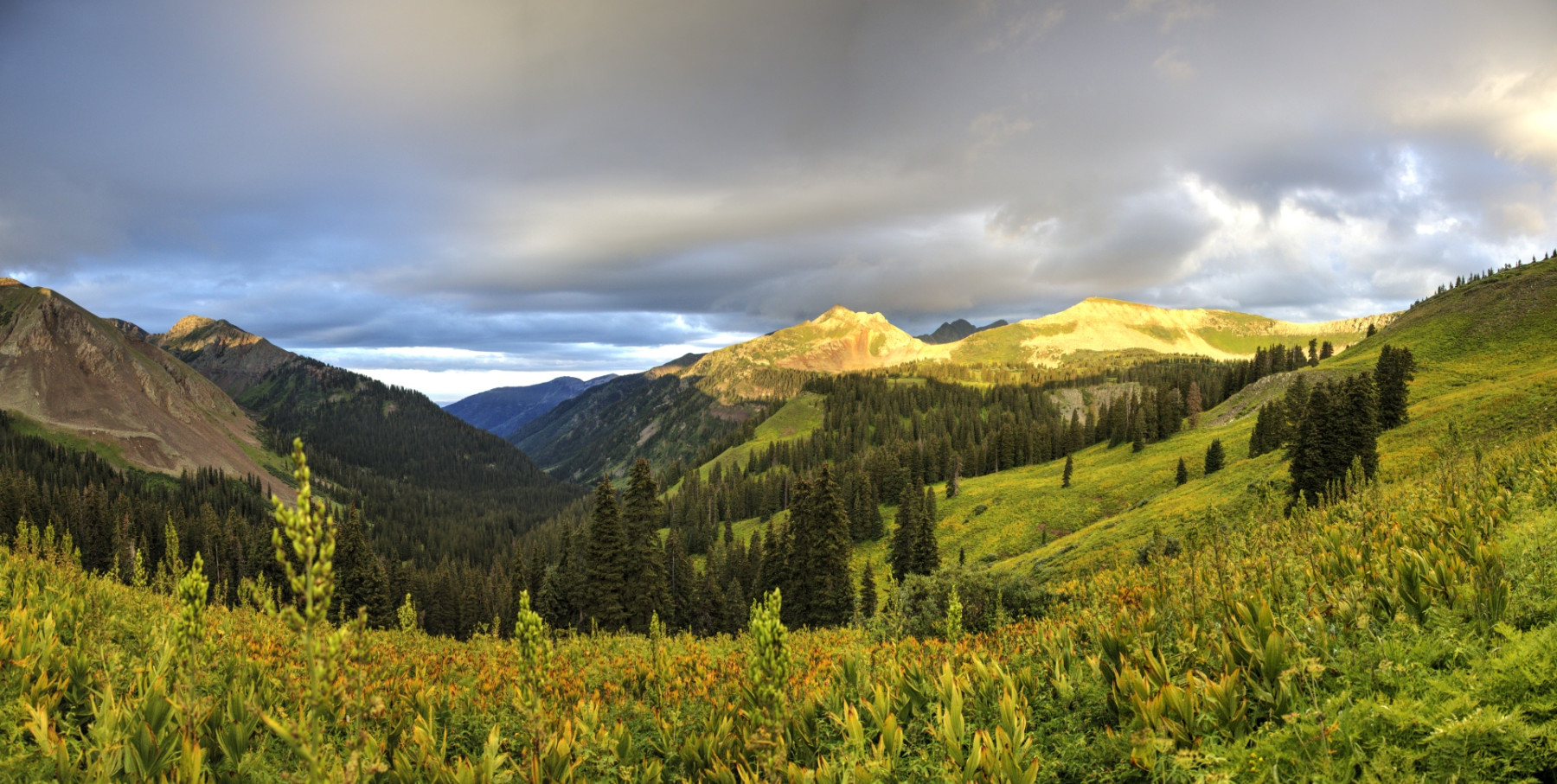 Scenic_CO_ColoradoTrailSeg27-1_20240813_09383-09400