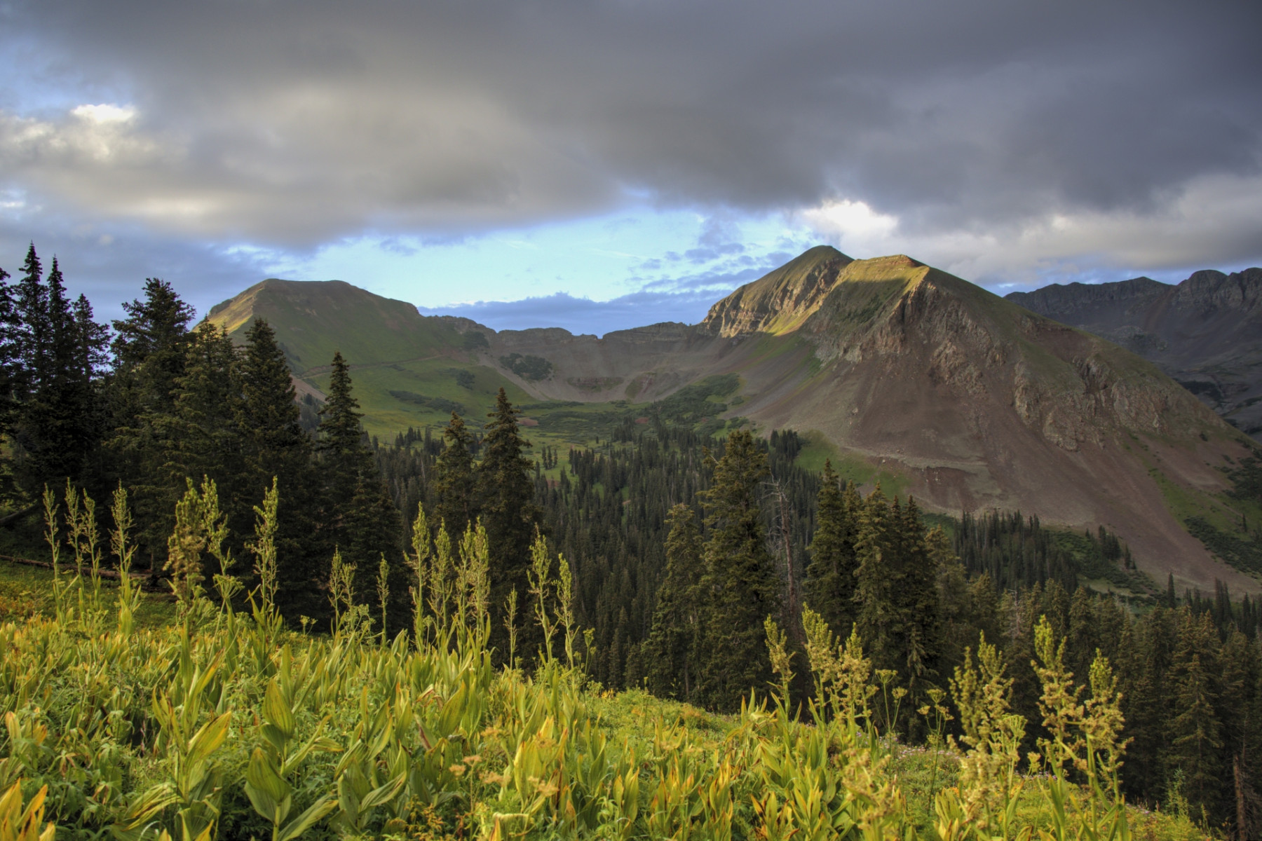 Scenic_CO_ColoradoTrailSeg27-1_20240813_09545-09547