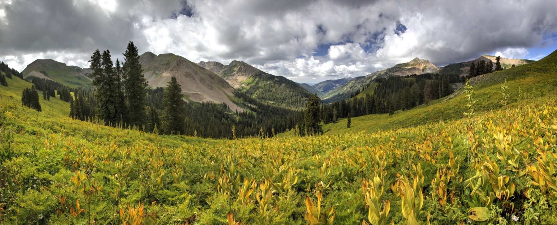 Scenic_CO_ColoradoTrailSeg27-1_20240813_11889-11930