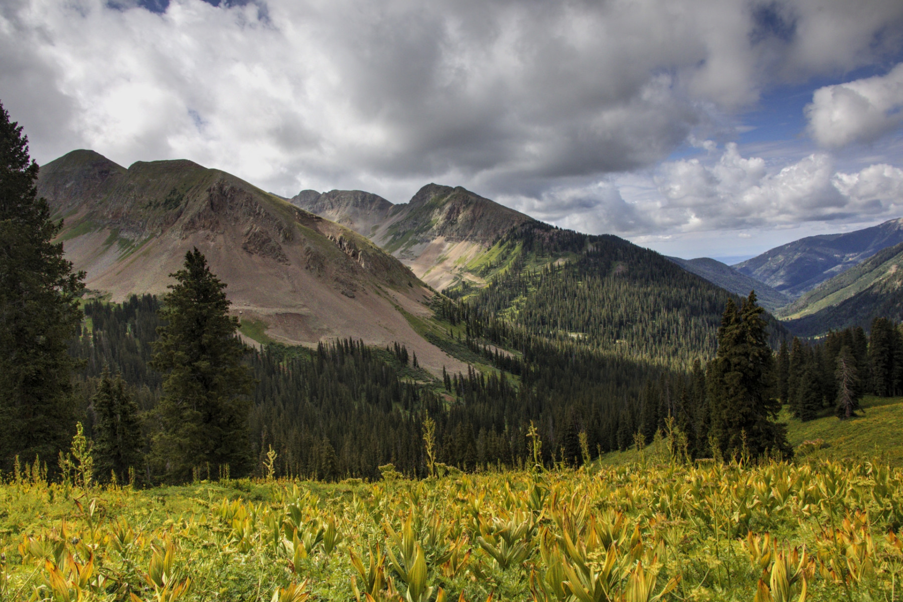 Scenic_CO_ColoradoTrailSeg27-1_20240813_11931-11933