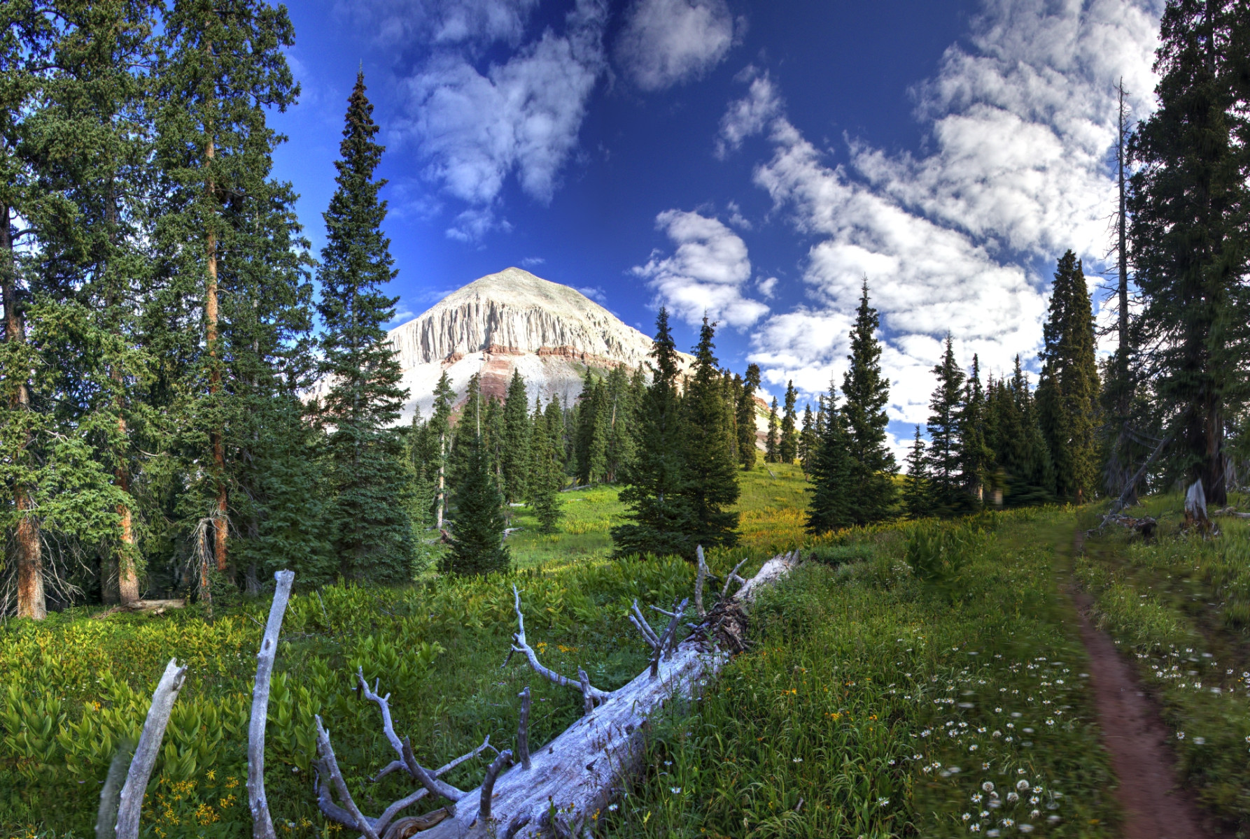 Scenic_CO_EngineerMnt_20240815_2240-2293