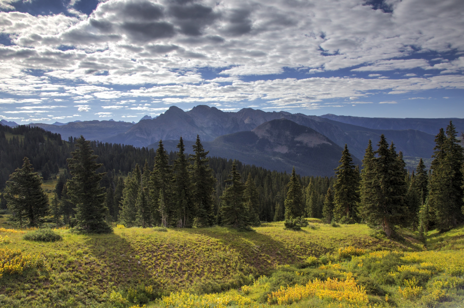 Scenic_CO_EngineerMnt_20240815_2486-2488