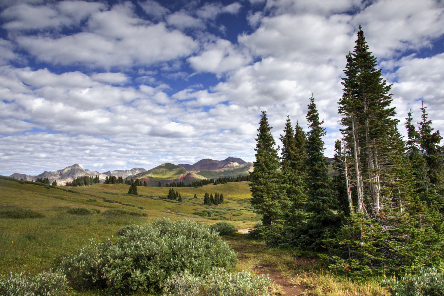 Scenic_CO_EngineerMnt_20240815_2609-2611