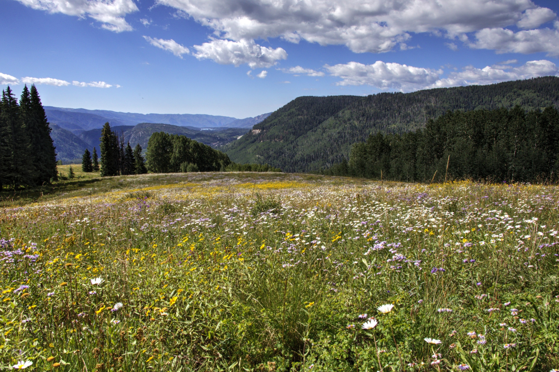 Scenic_CO_EngineerMnt_20240815_2888-2890