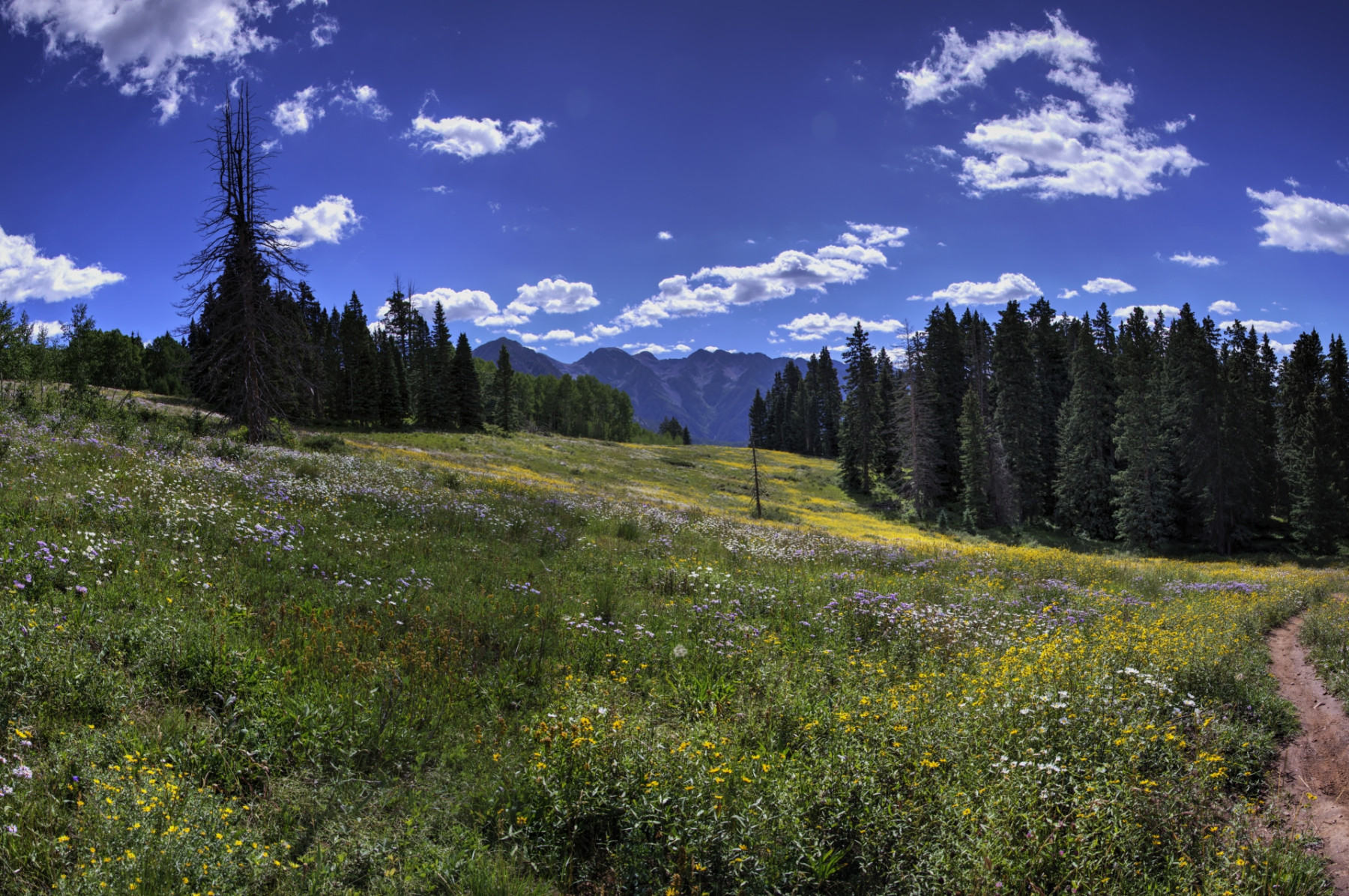 Scenic_CO_EngineerMnt_20240815_2891-2941
