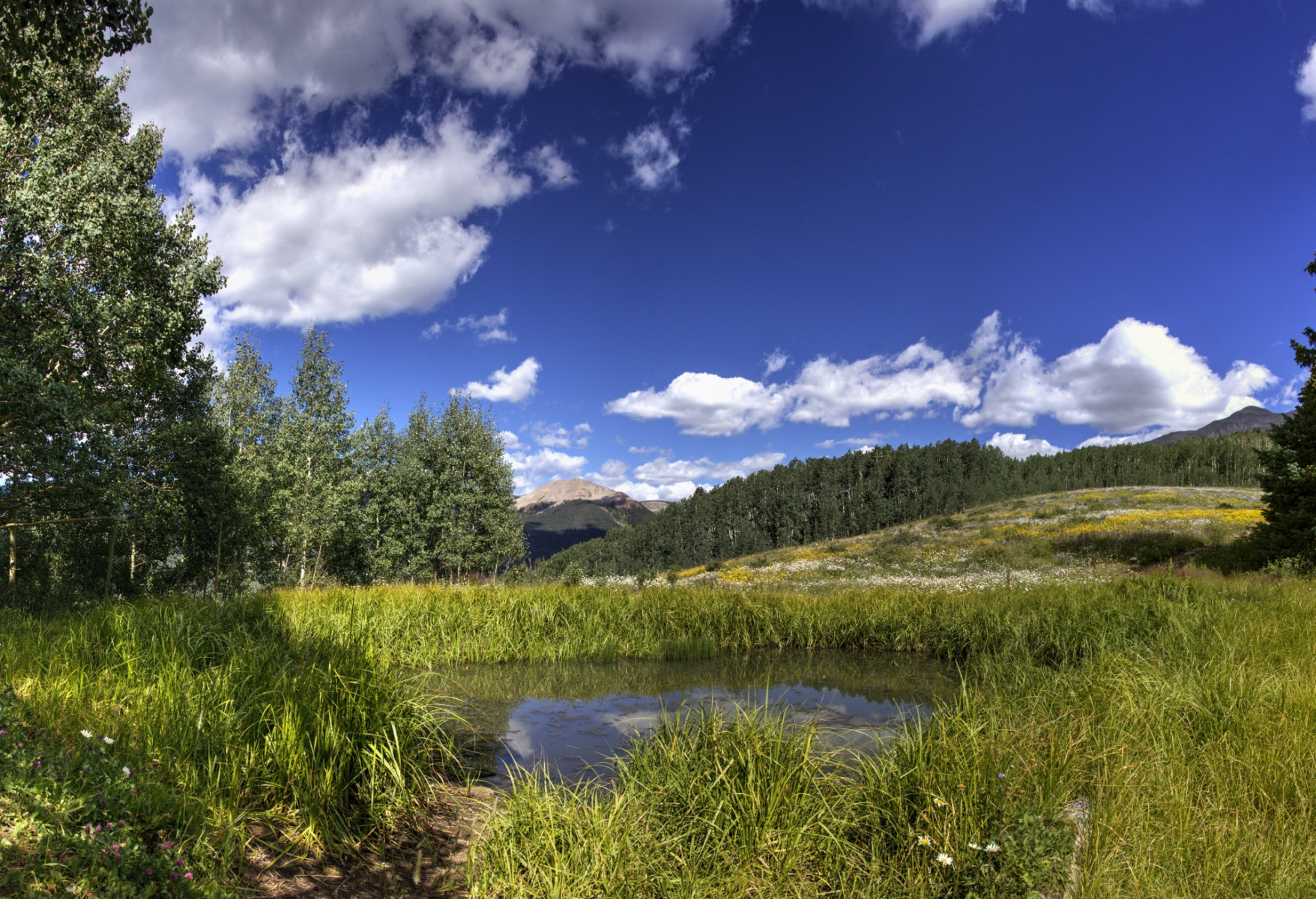 Scenic_CO_EngineerMnt_20240815_2975-3031