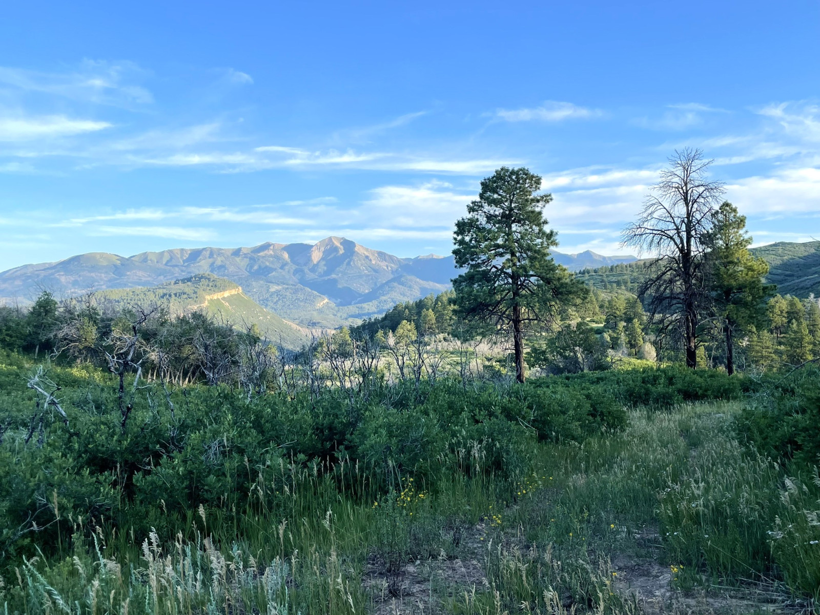 Scenic_CO_PerinsPeak_20240806_0070