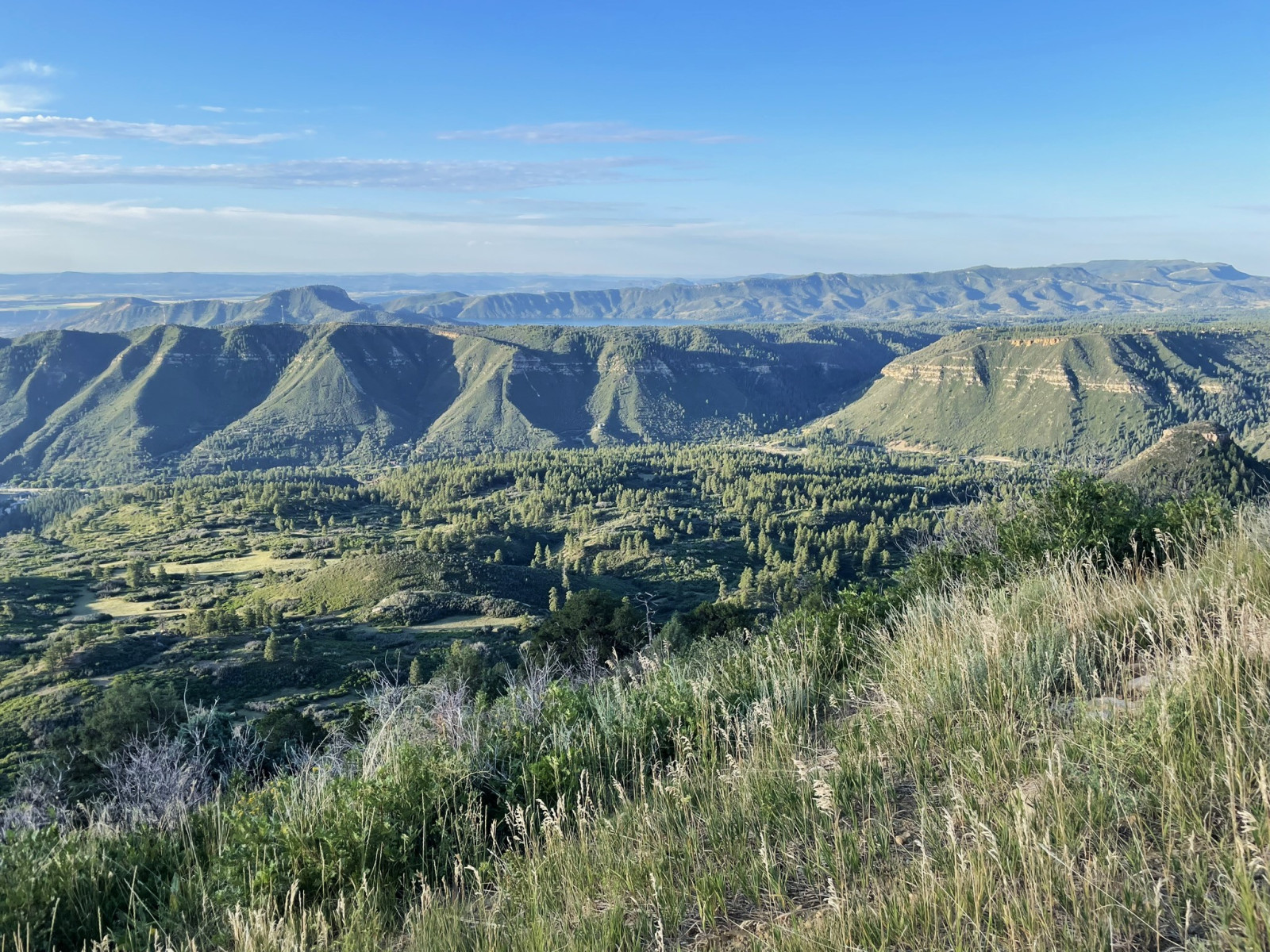 Scenic_CO_PerinsPeak_20240806_0071