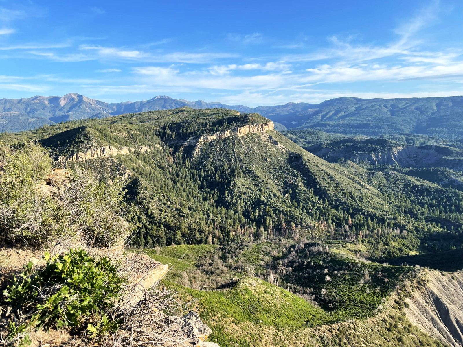 Scenic_CO_PerinsPeak_20240806_0073
