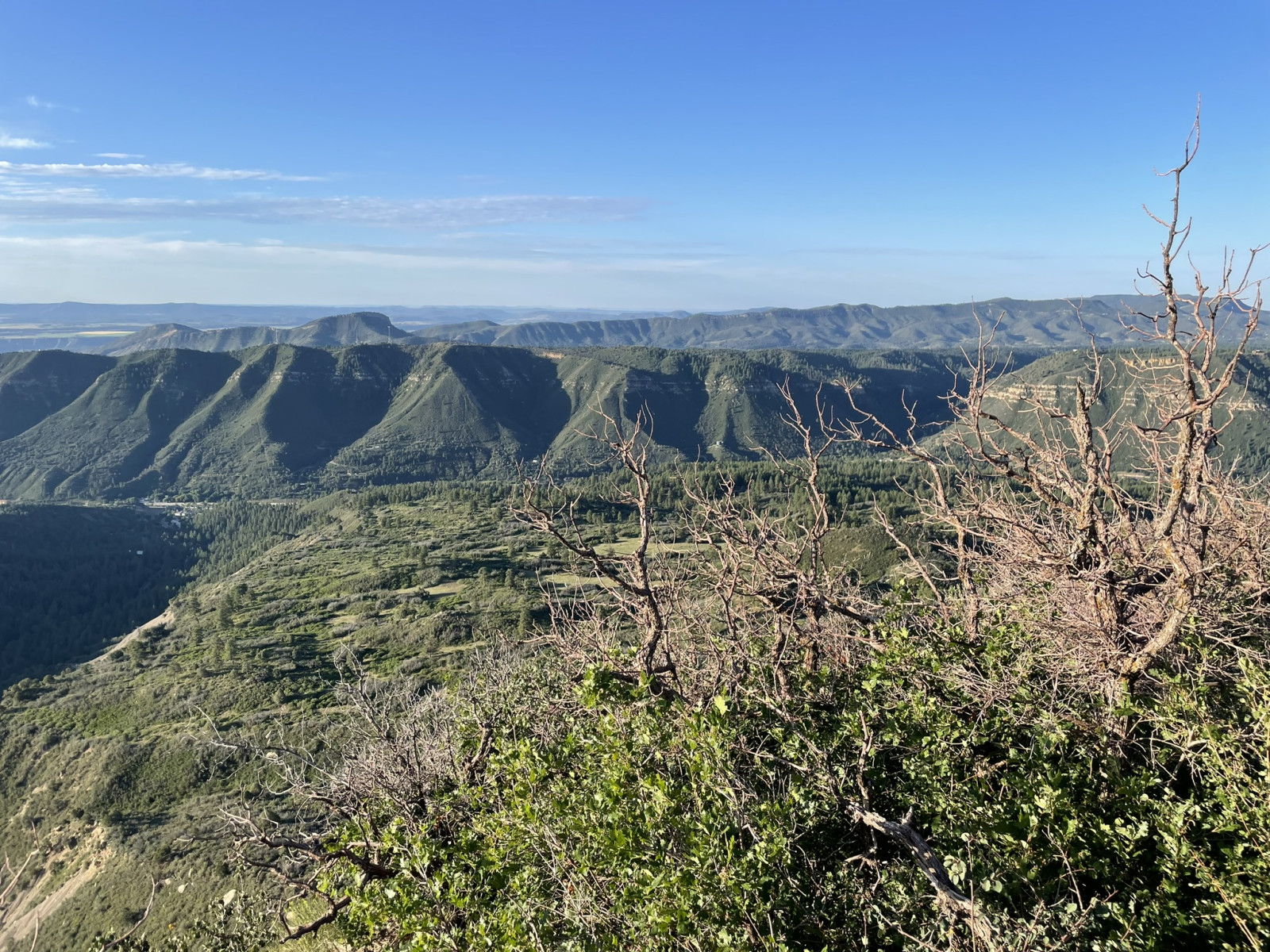 Scenic_CO_PerinsPeak_20240806_0075