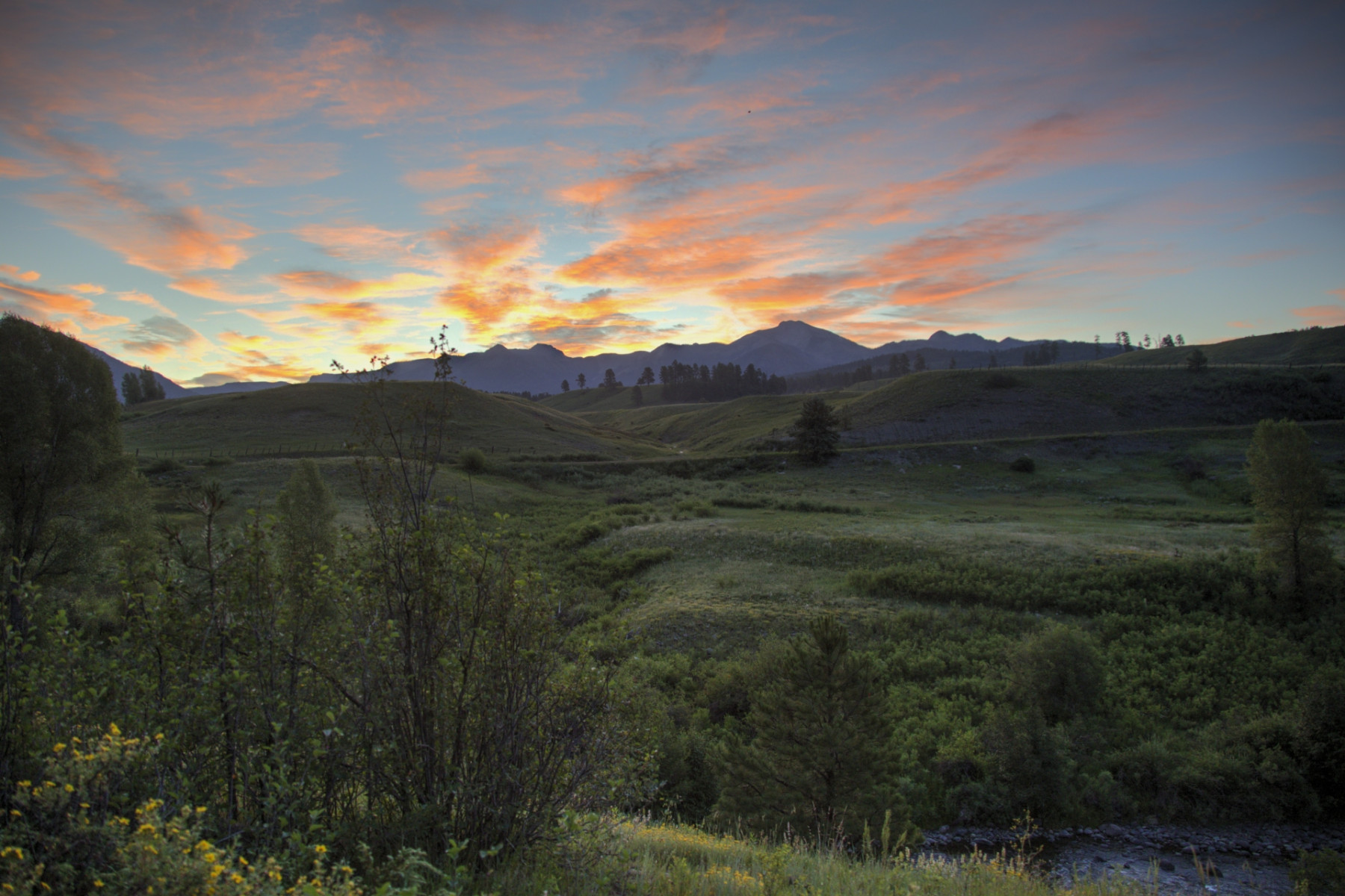 Scenic_CO_PiedraRiver_20240731_5256-5258