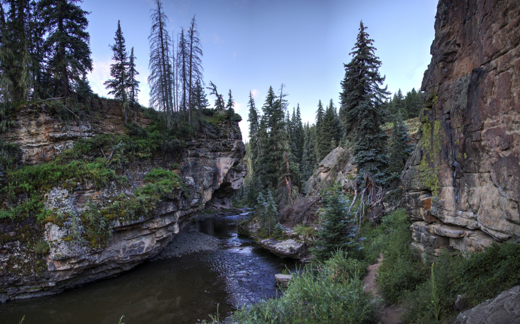 Scenic_CO_PiedraRiver_20240731_5298-5309