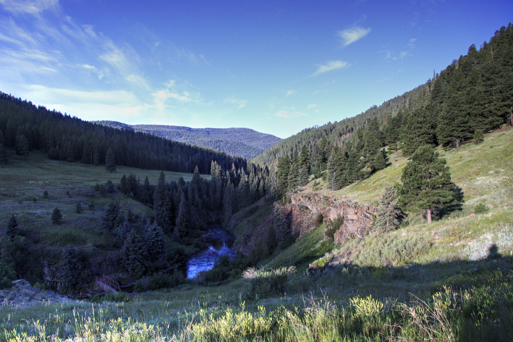 Scenic_CO_PiedraRiver_20240731_5486-5488