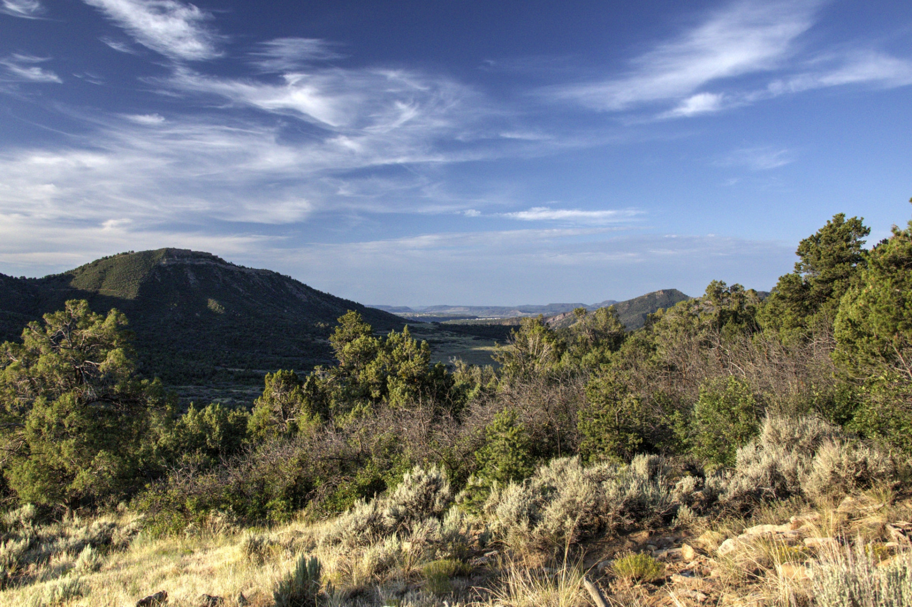 Scenic_CO_TheRidge_20240804_6260-6262