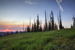 Scenic_CO_AlbertaPeak_20240802_5717-5719
