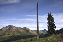 Scenic_CO_Colorado-Trail-Seg25-1_20240808_6908-6910