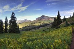 Scenic_CO_Colorado-Trail-Seg25-1_20240808_6980-7018