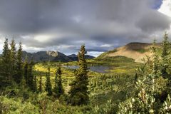 Scenic_CO_ColoradoTrailSeg27-1_20240813_09671-09715