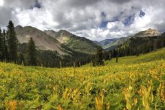Scenic_CO_ColoradoTrailSeg27-1_20240813_11889-11930