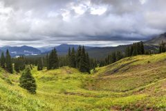 Scenic_CO_CrossMntTrail_20240811_7931-7981