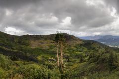 Scenic_CO_CrossMntTrail_20240811_8198-8254