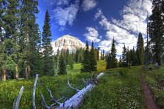 Scenic_CO_EngineerMnt_20240815_2240-2293