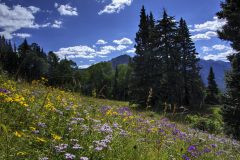 Scenic_CO_EngineerMnt_20240815_2768-2770